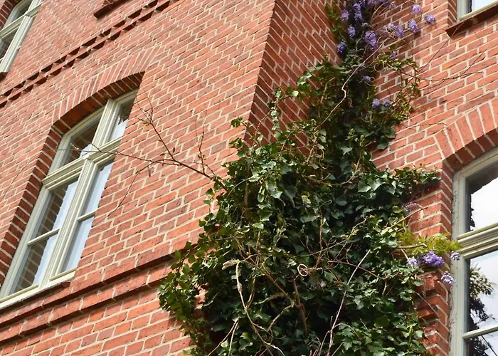 An Den Wiesen Am Finowkanal